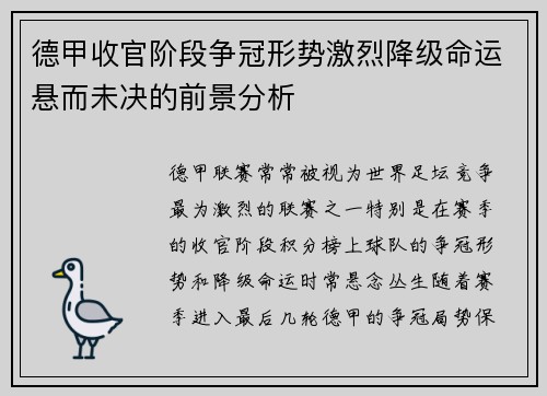 德甲收官阶段争冠形势激烈降级命运悬而未决的前景分析
