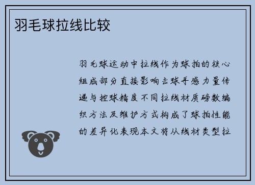 羽毛球拉线比较
